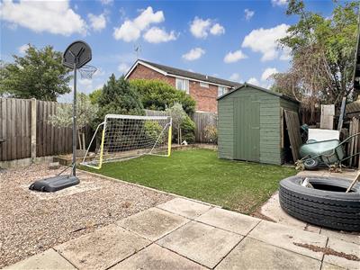 Picture 20